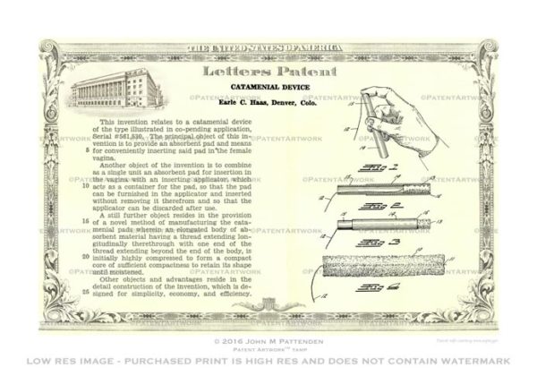 Catamenial Device Tampon