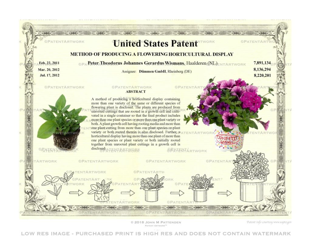 Custom patent art print for patent number 7891134